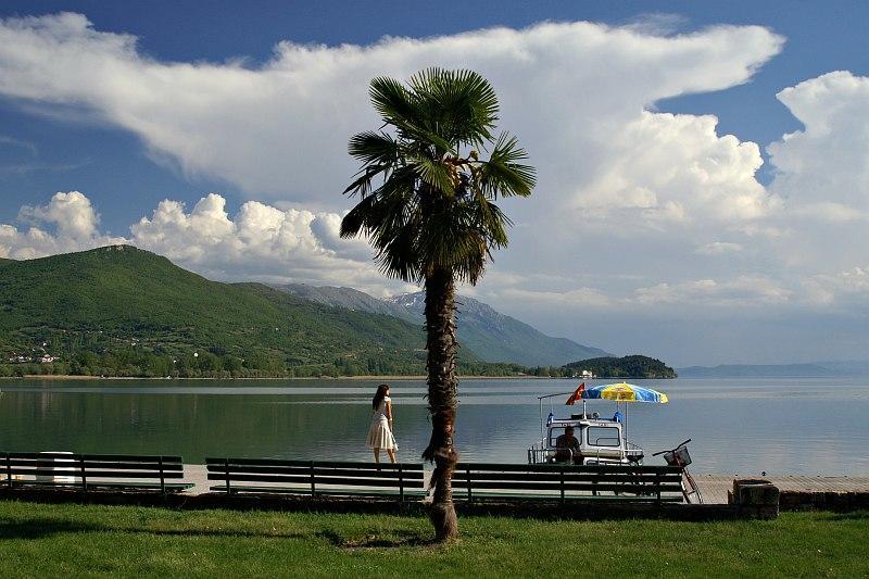 New Studio 70M To The Lake Охрид Екстериор снимка